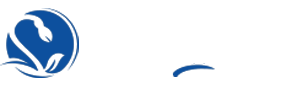 AJANS KARDELEN